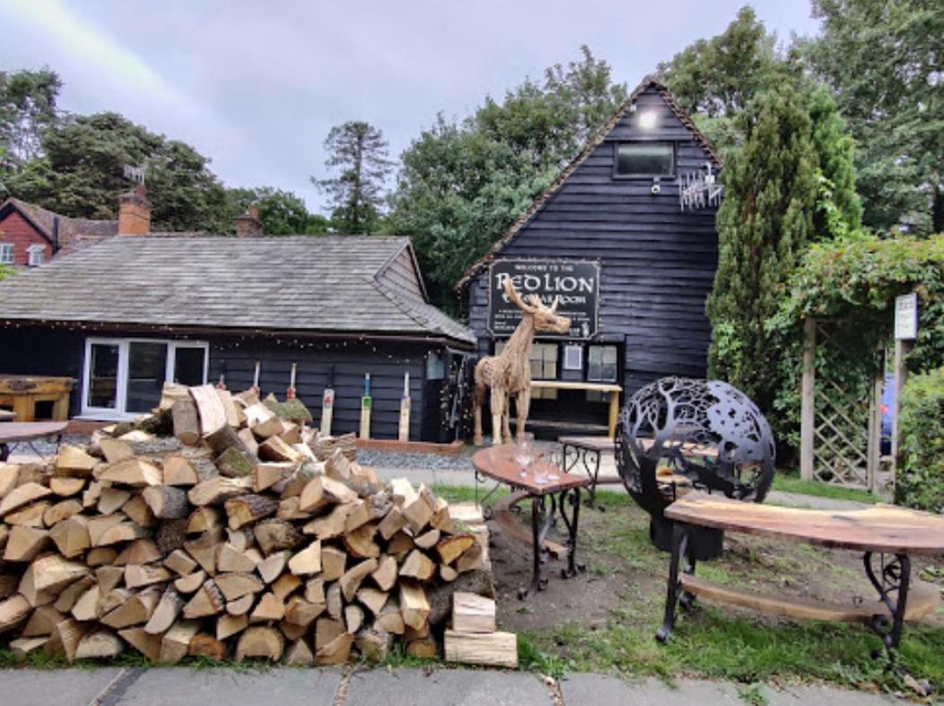 The Red Lion & Cellar Room, Betchworth Eksteriør billede