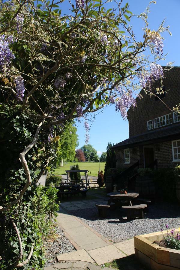 The Red Lion & Cellar Room, Betchworth Eksteriør billede